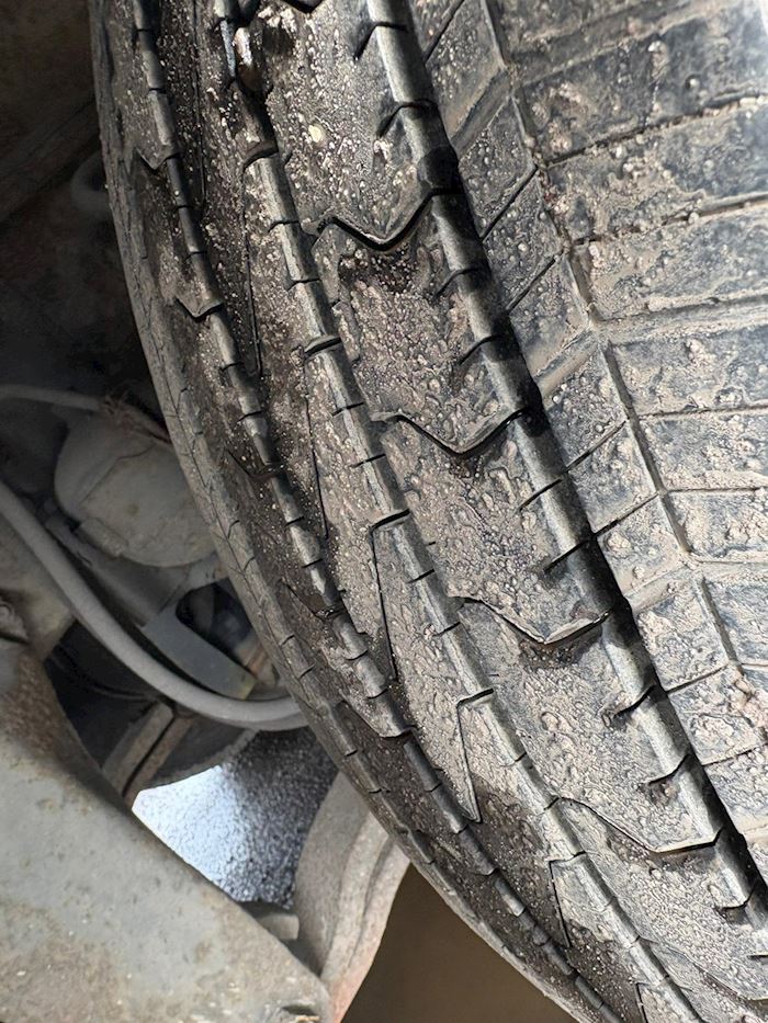 Billede 10 - Scania 124/420 Udstilling/Show Special